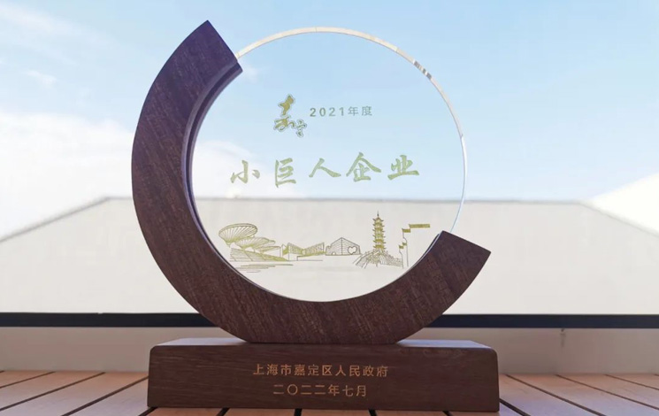 喜報|汩鴻環(huán)保獲評嘉定區(qū)“小巨人企業(yè)”