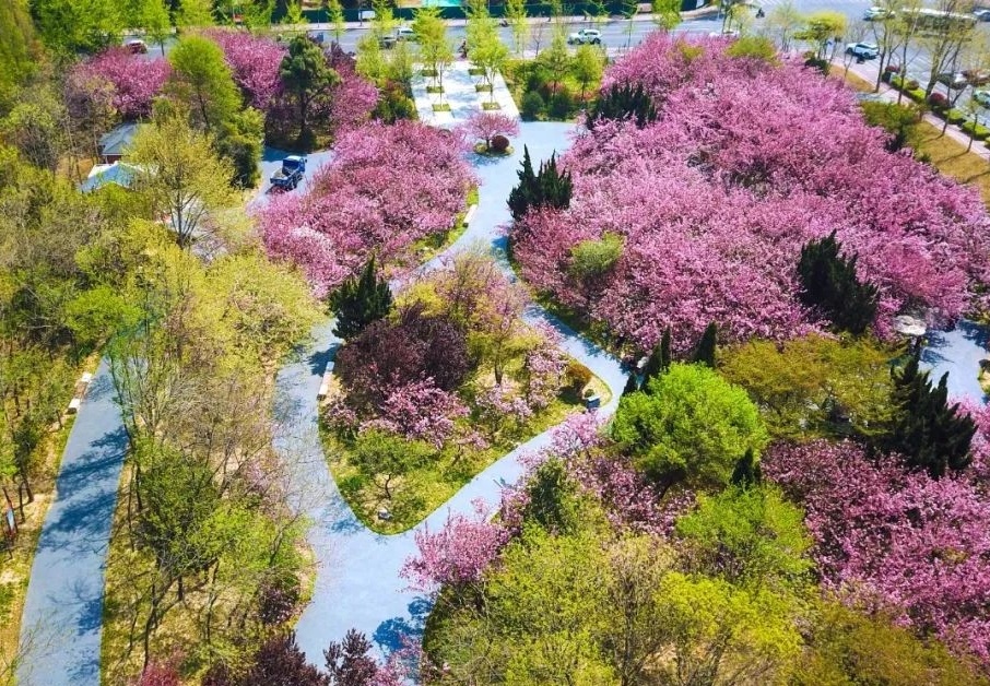 日照櫻花園污水泵站及海曲路智能截流井工程